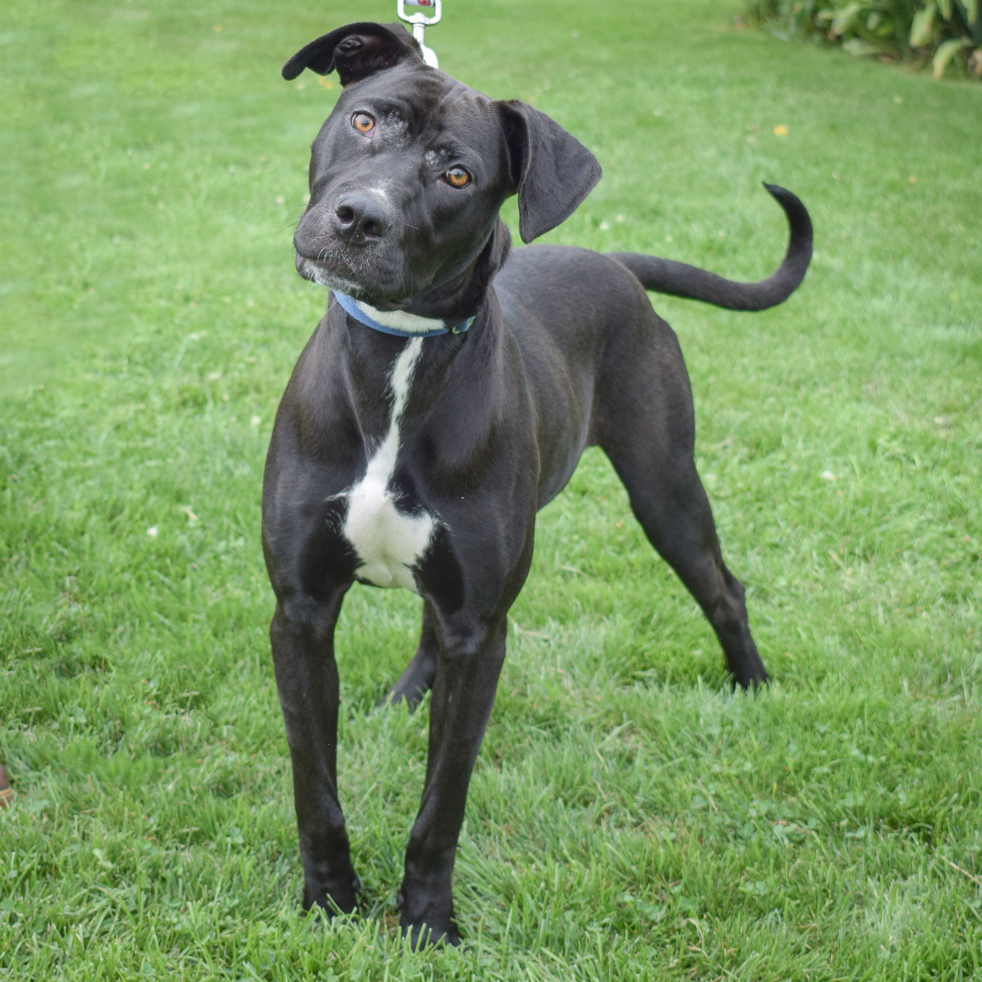 Duncan photo 4