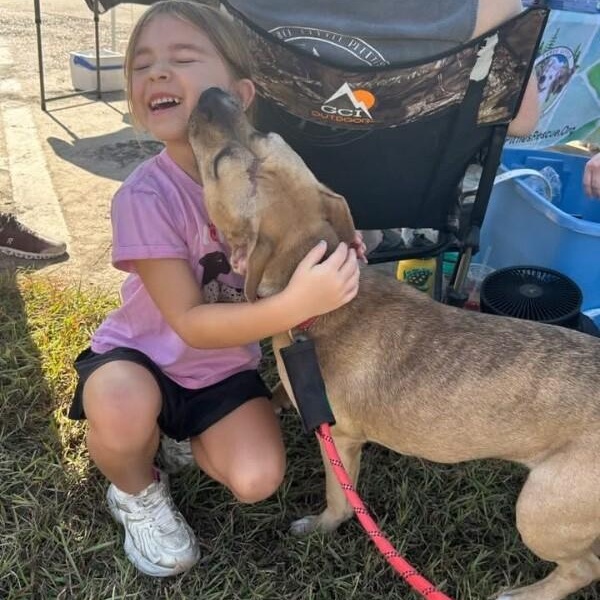 Rainie Baby the pocket sized Pittie lady loves to play with the littles!