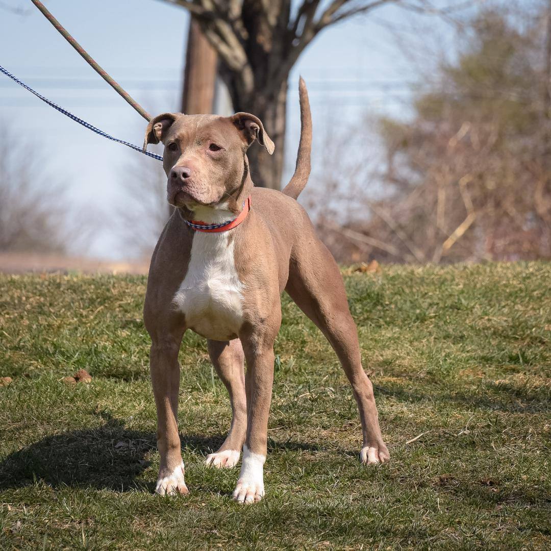 Tabitha - CTS2025 photo 4