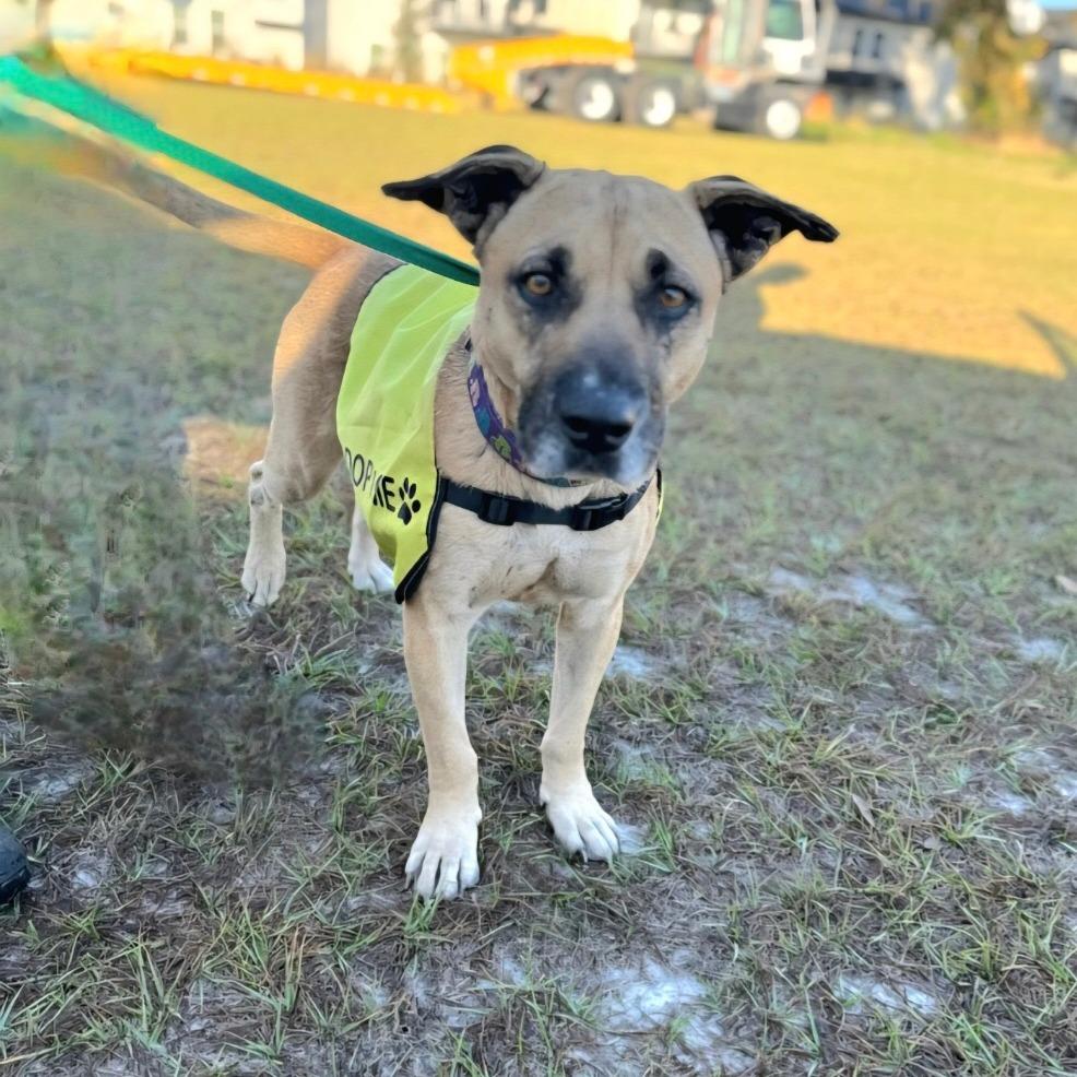 Princess thumbnail 2