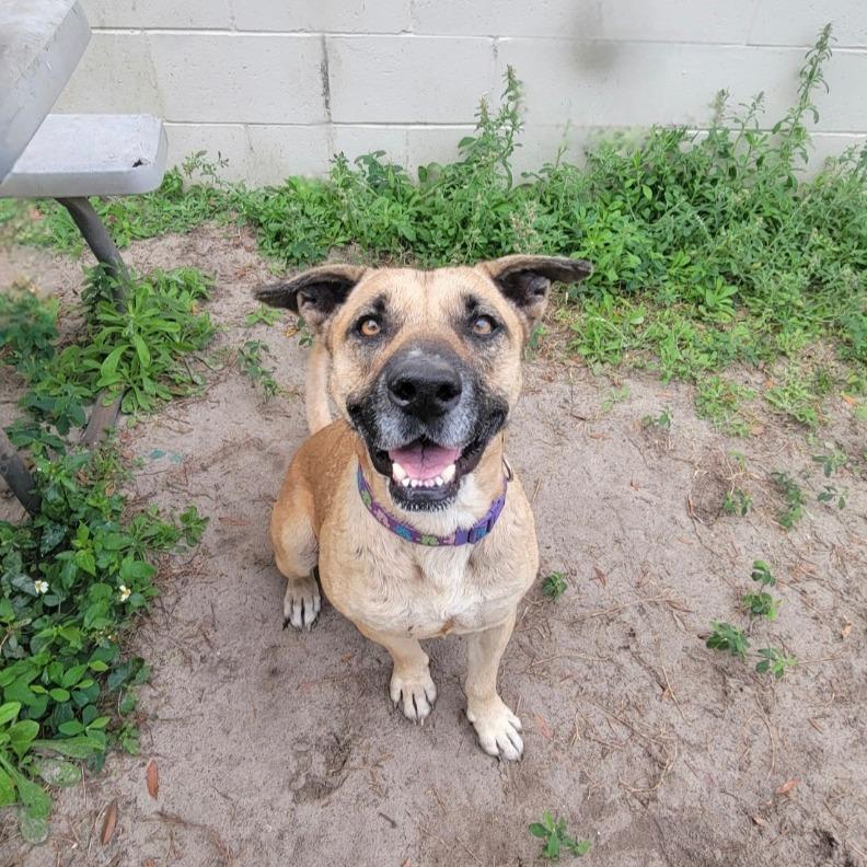 Princess thumbnail 3