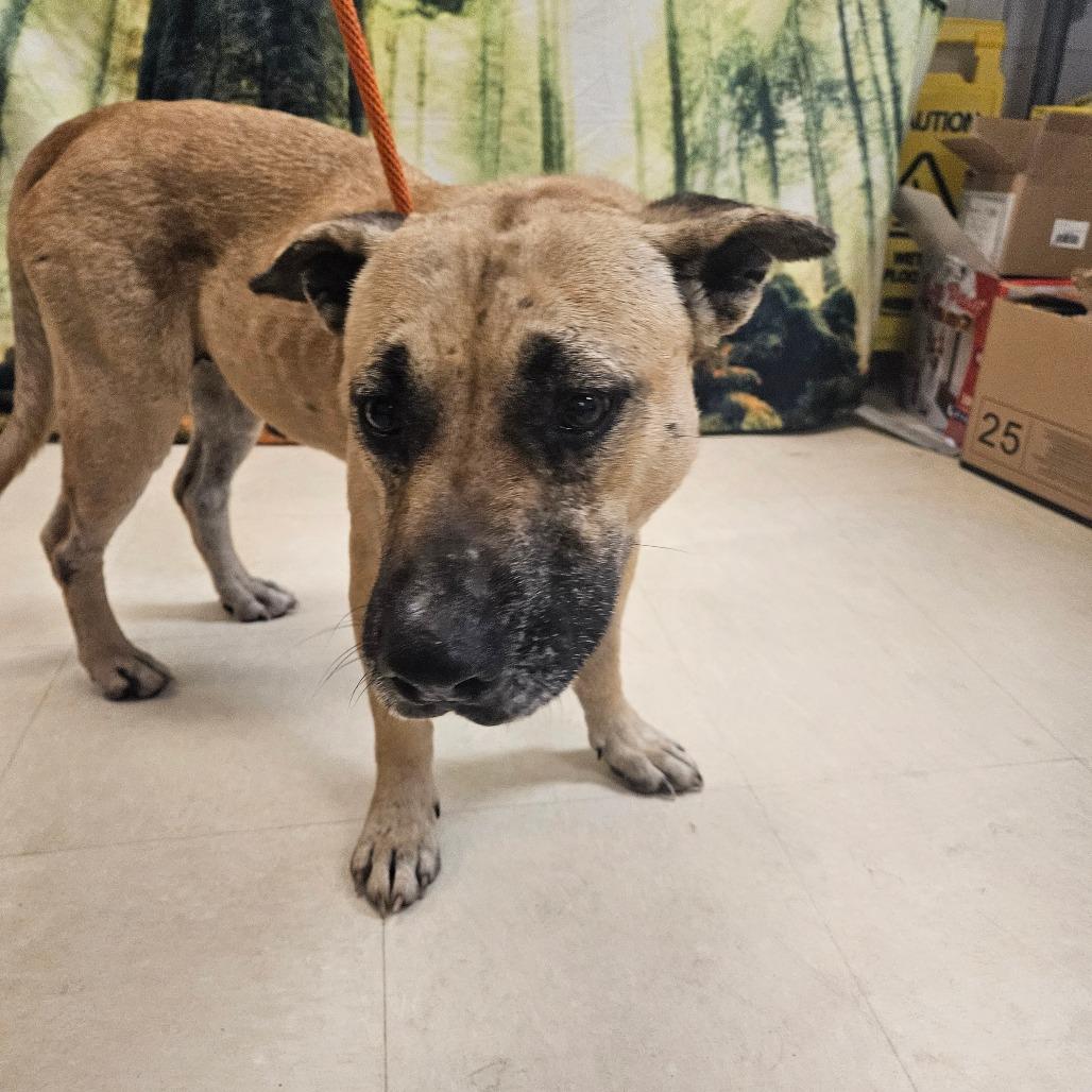 Princess thumbnail 4