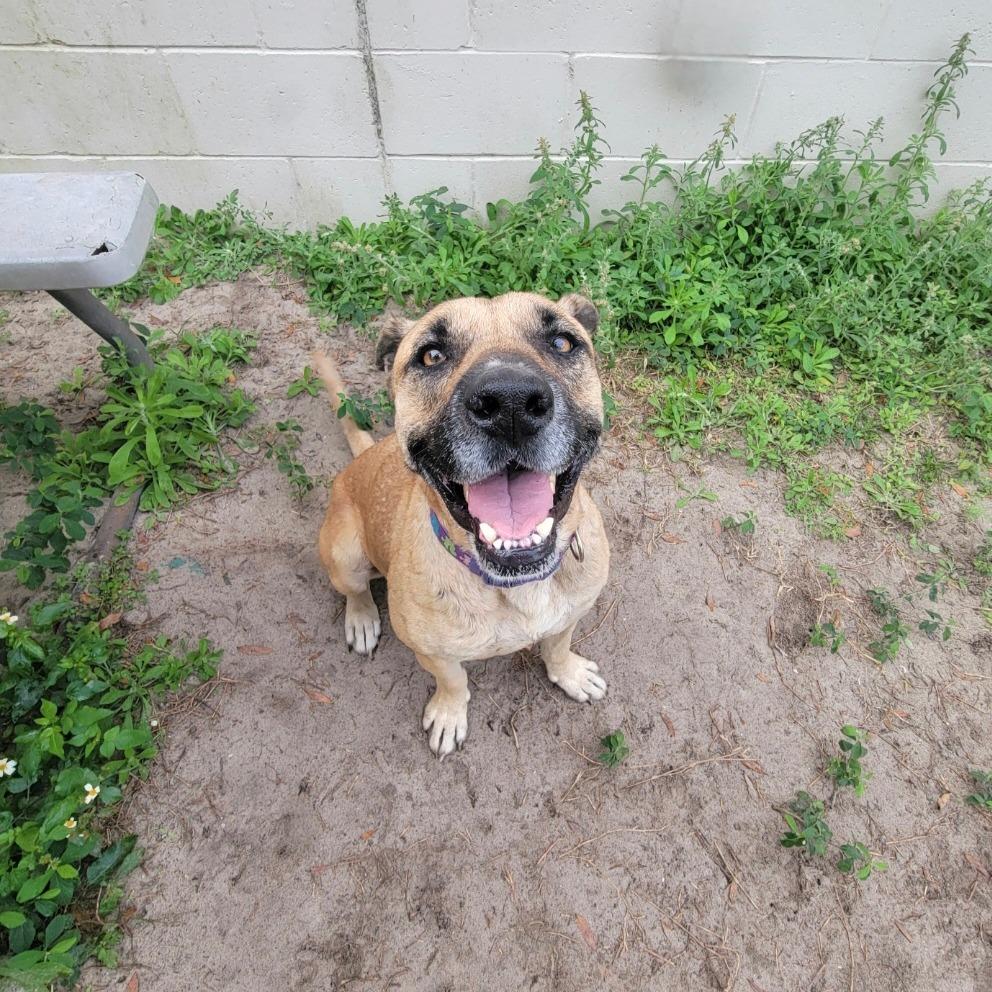 Princess thumbnail 5