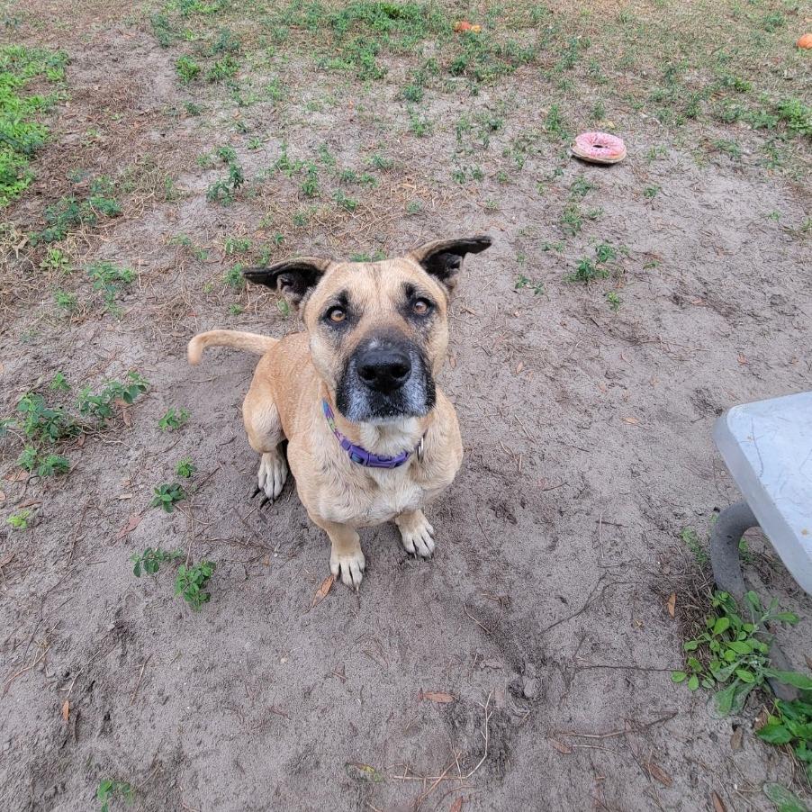 Princess thumbnail 6