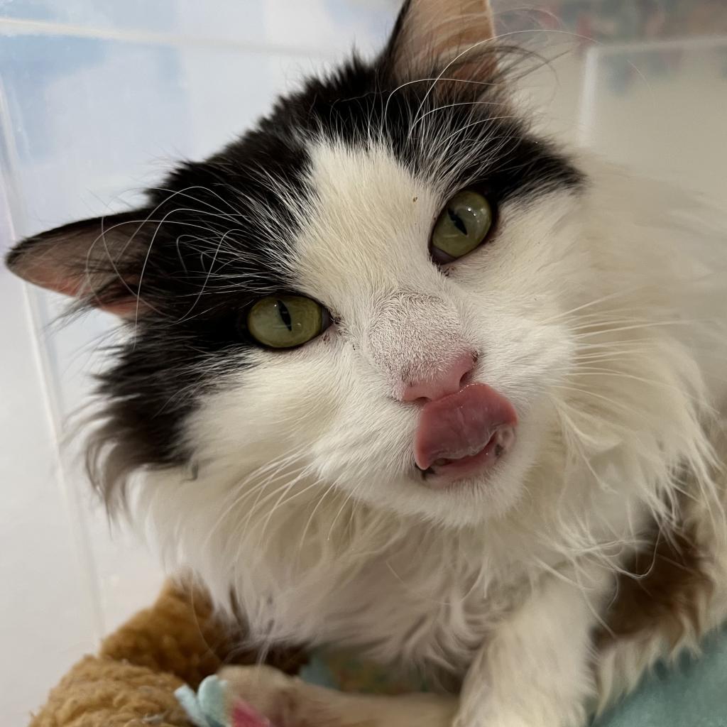 Precious — thumbnail 4