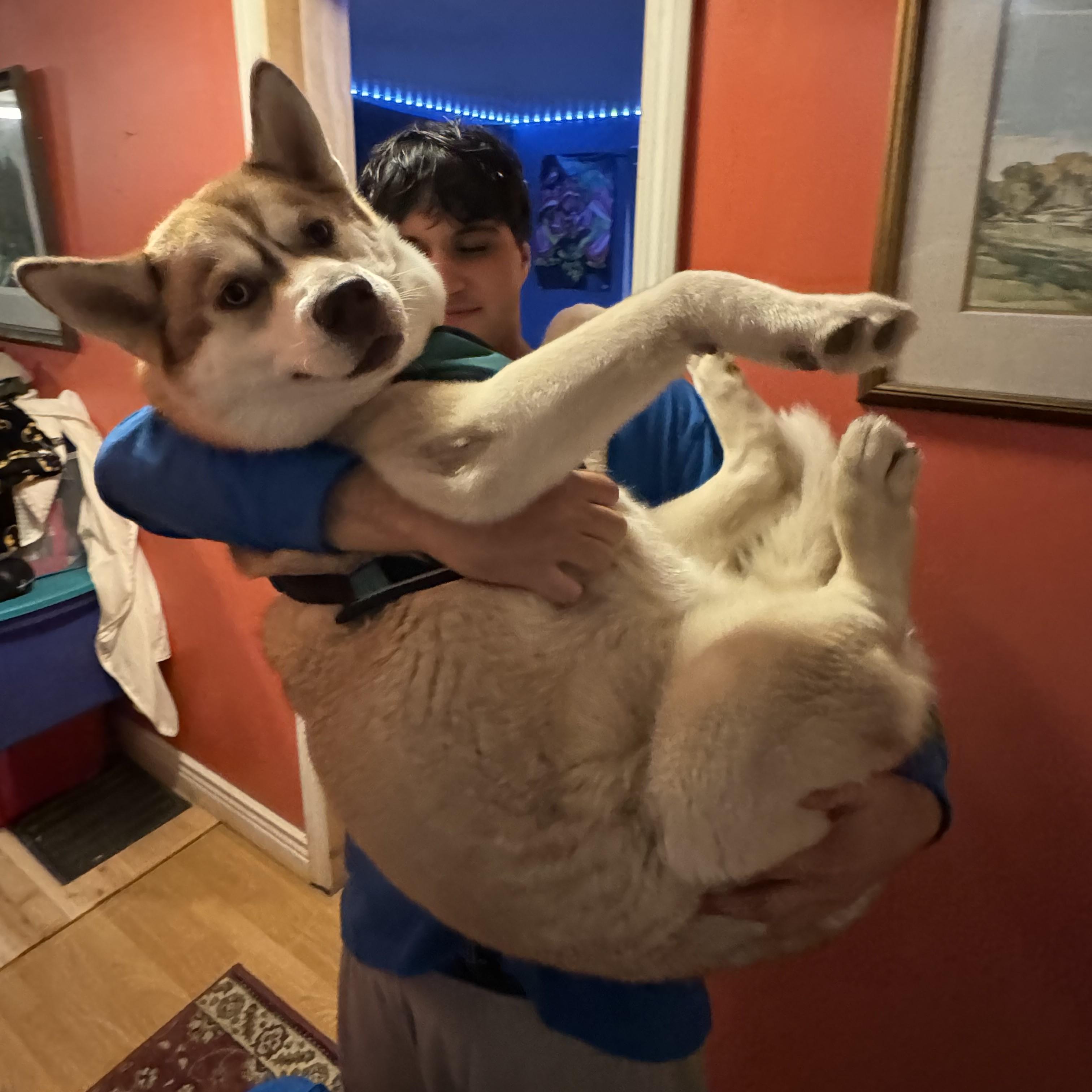 Willow thumbnail 2