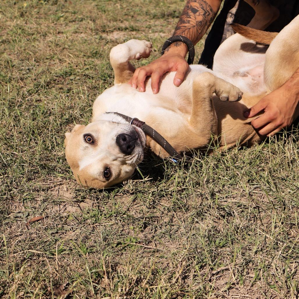 Sandler JuM — thumbnail 3