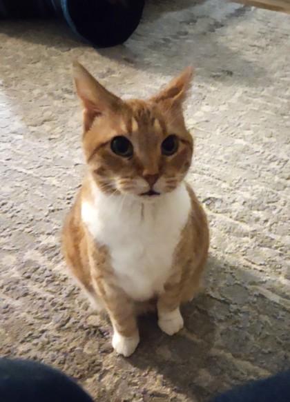 Maisy — thumbnail 2