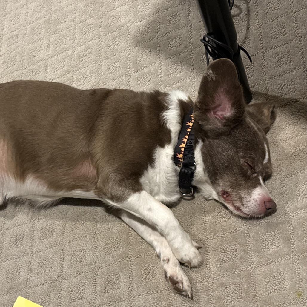 Socks — thumbnail 2