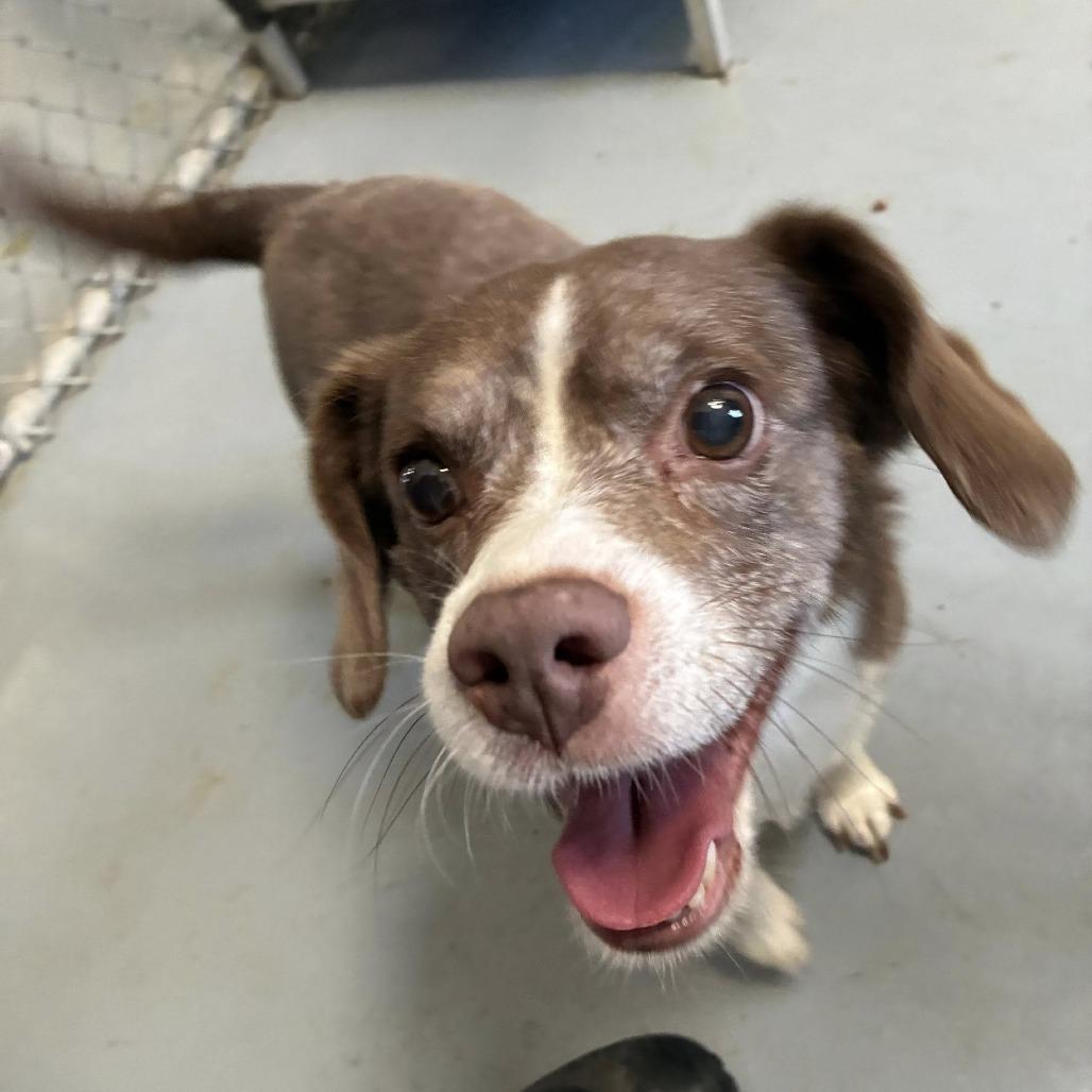 Socks — thumbnail 3