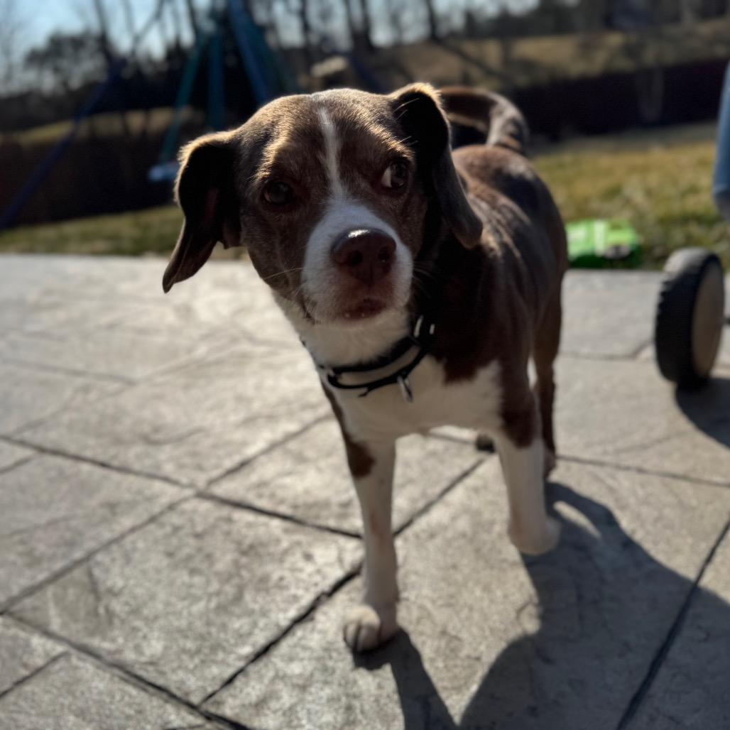 Socks — thumbnail 4