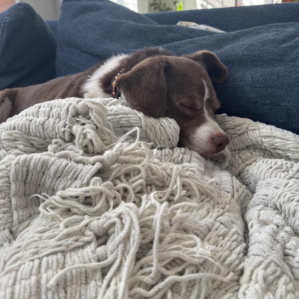 Socks — thumbnail 5