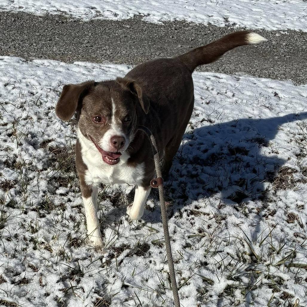 Socks — thumbnail 6