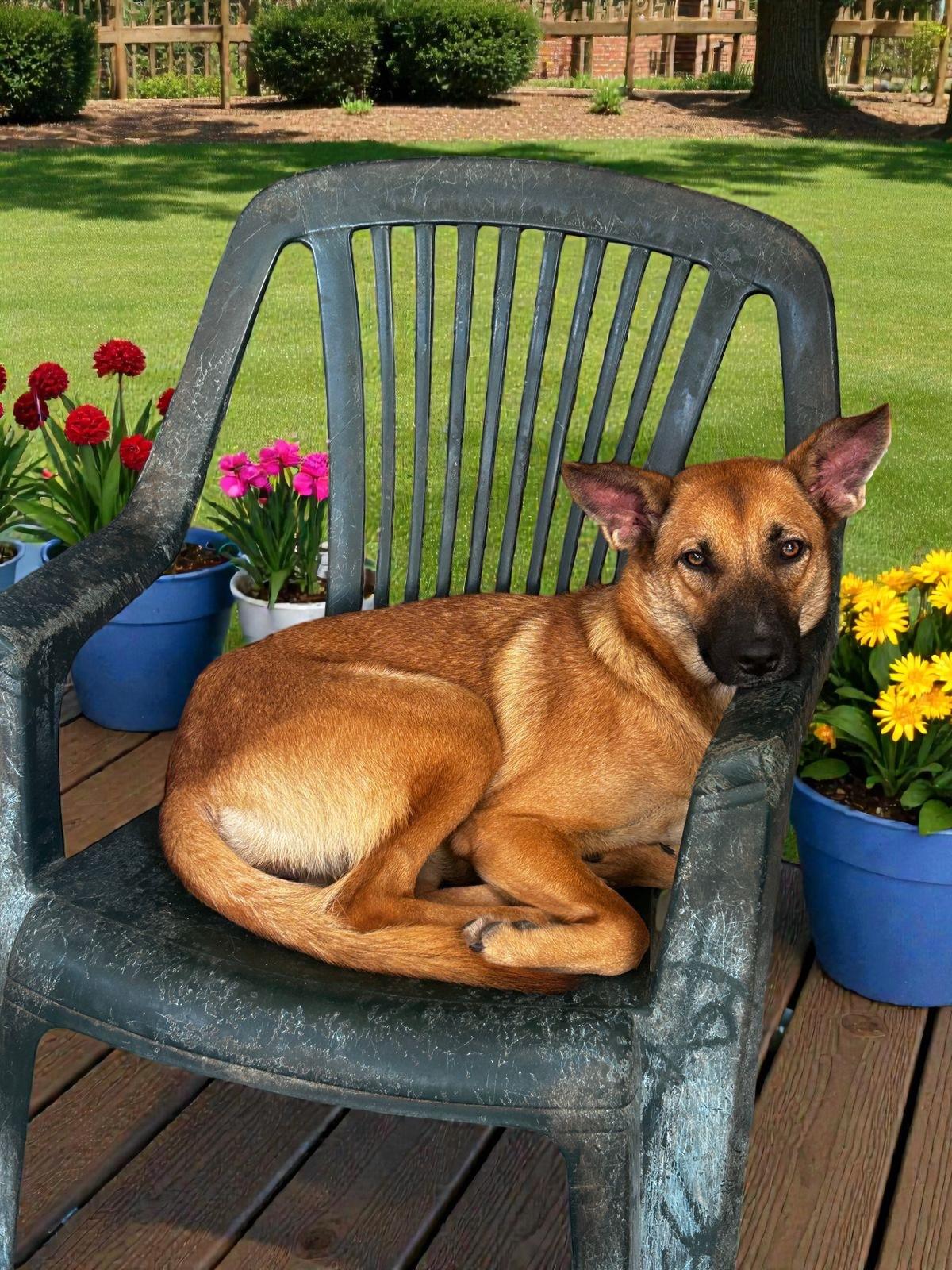 Lola — thumbnail 3