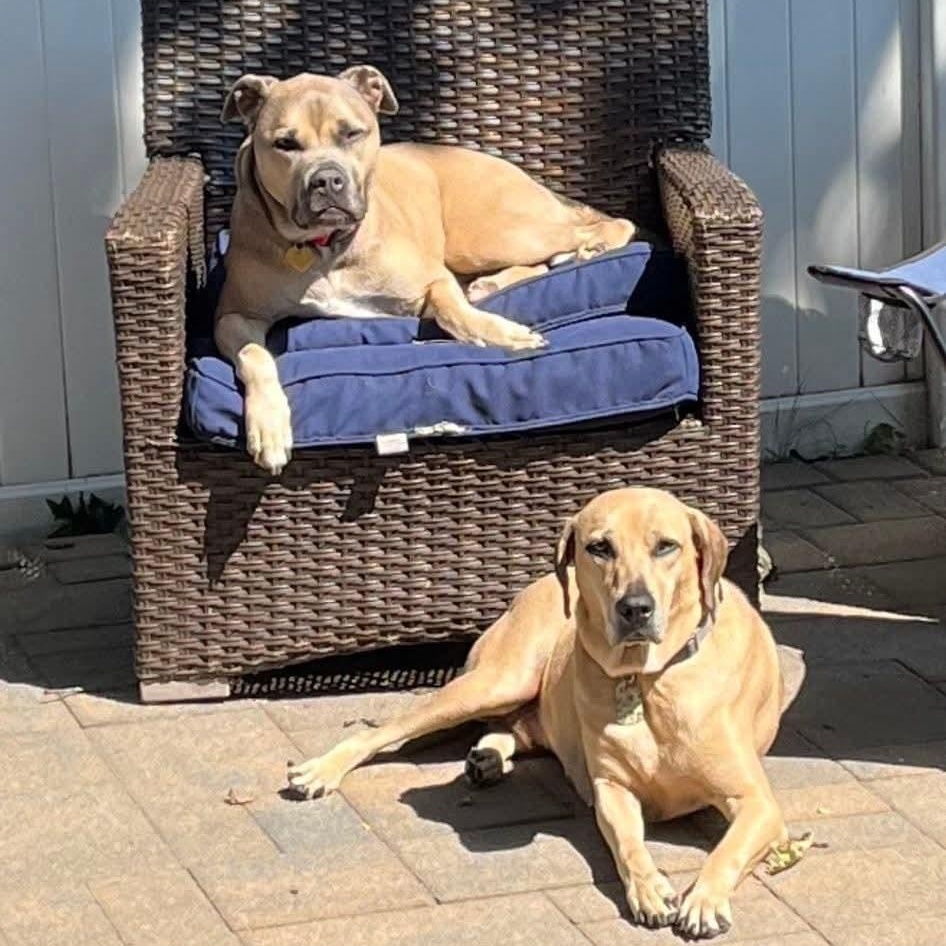 Stella and Henry