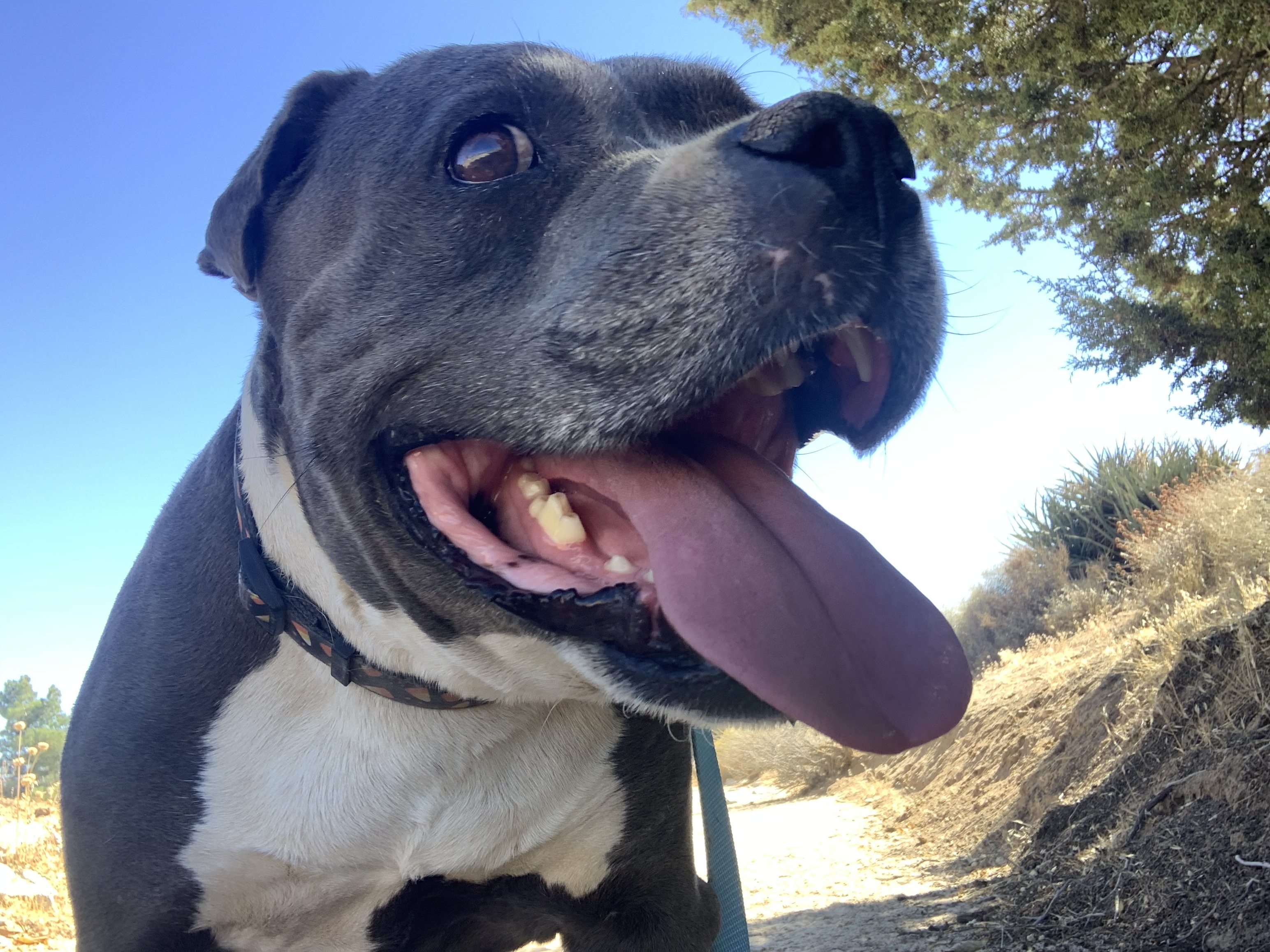 CHANCE photo 5