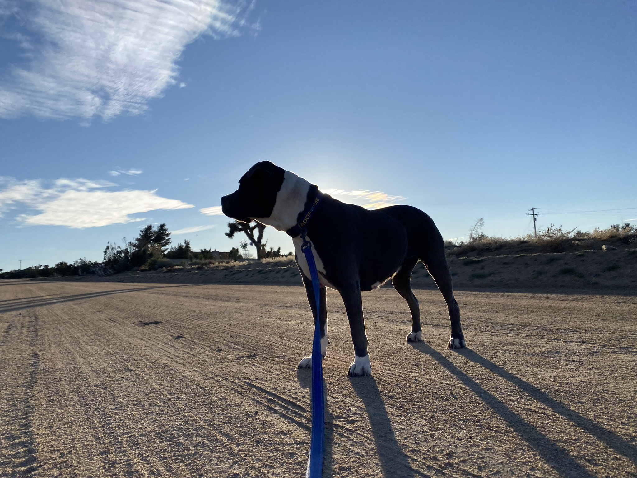 CHANCE photo 6