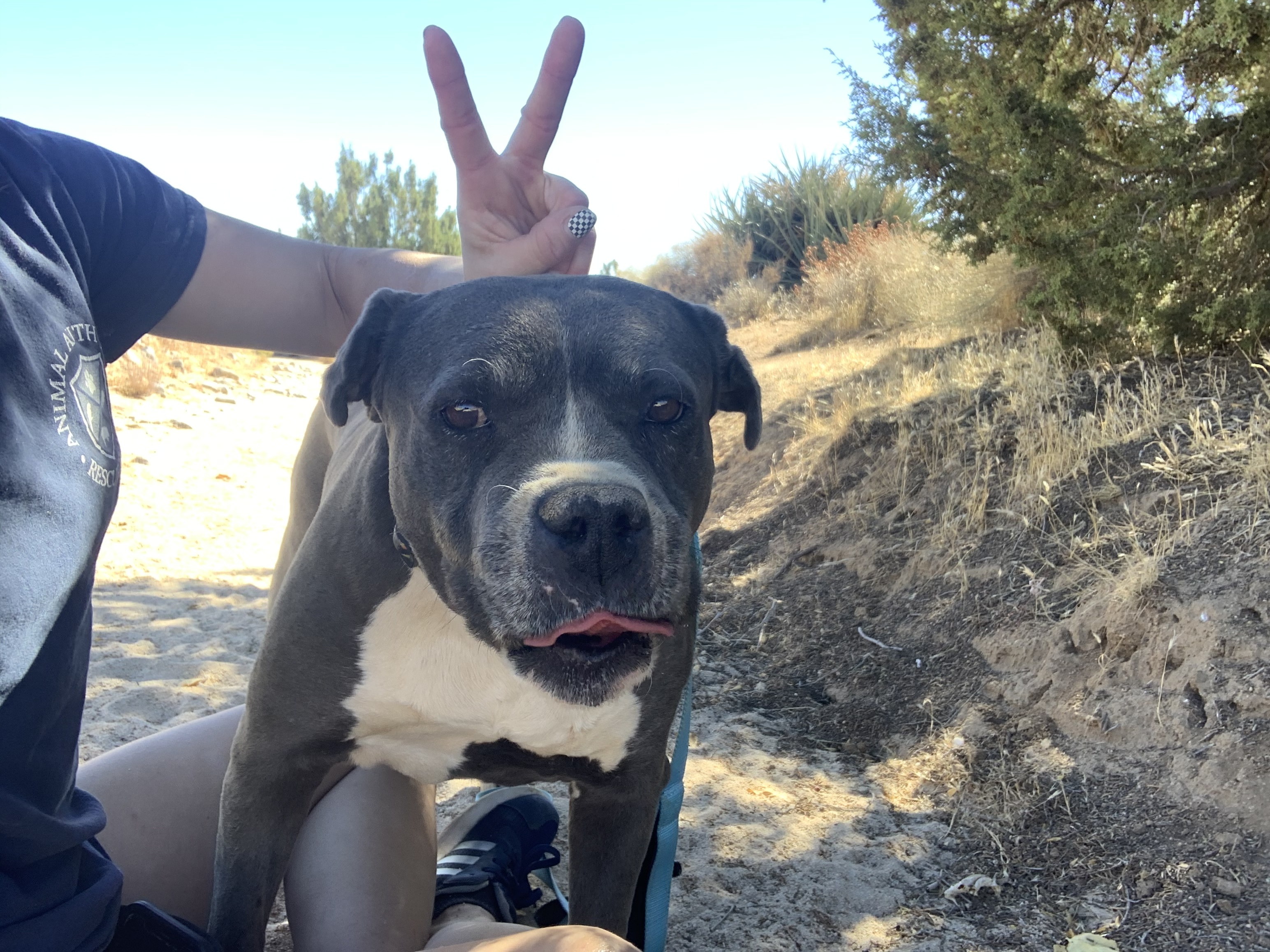 CHANCE photo 4