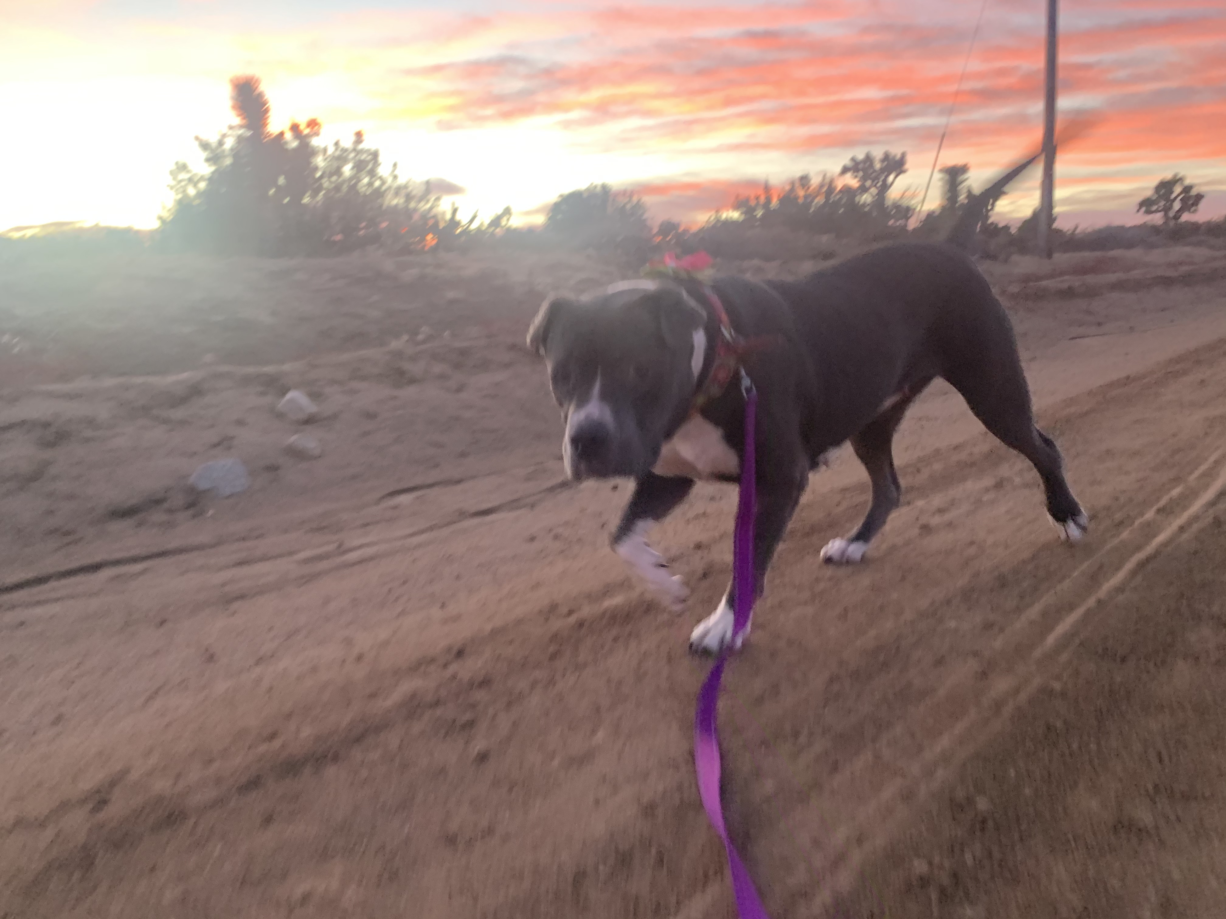 CHANCE photo 2