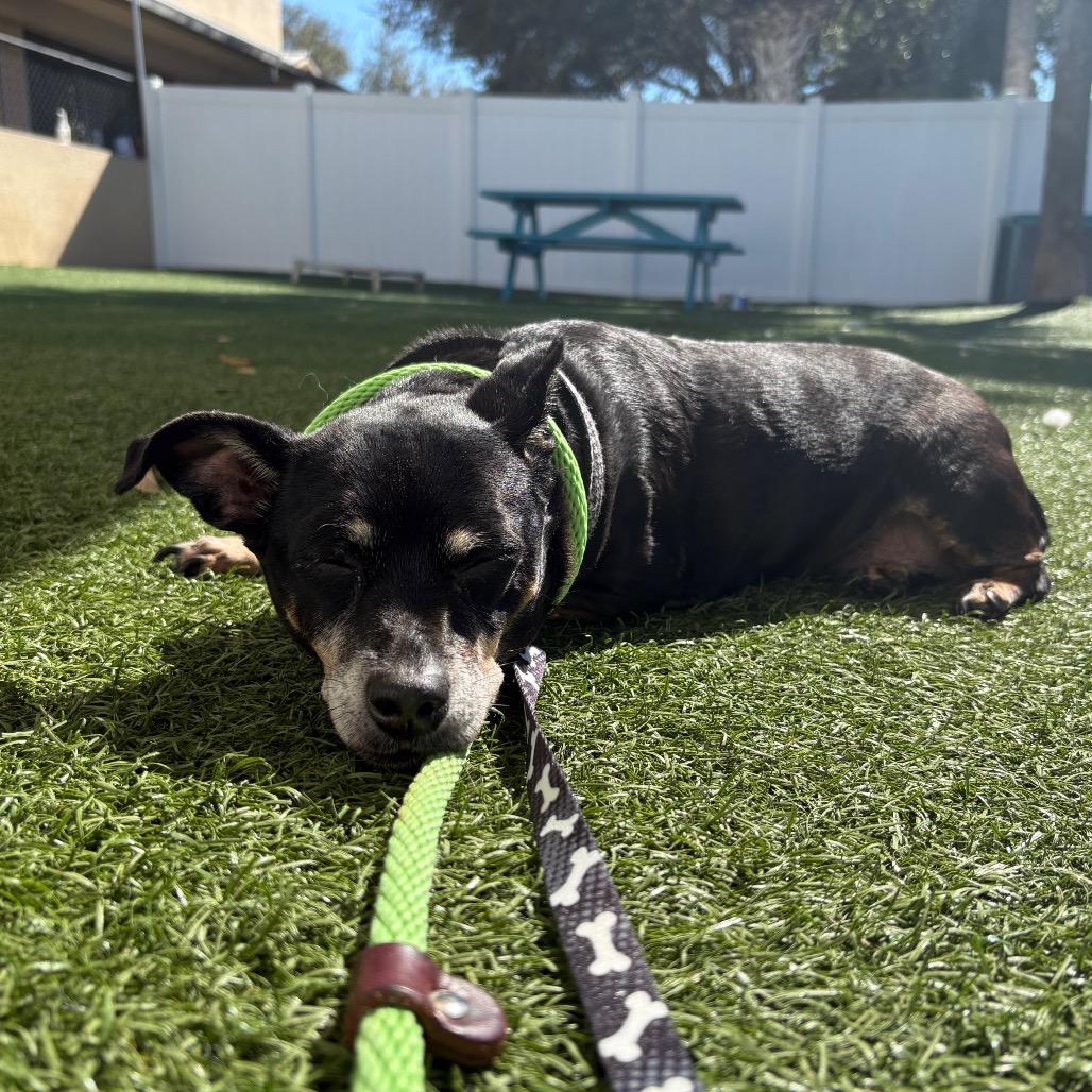 Katy — thumbnail 2