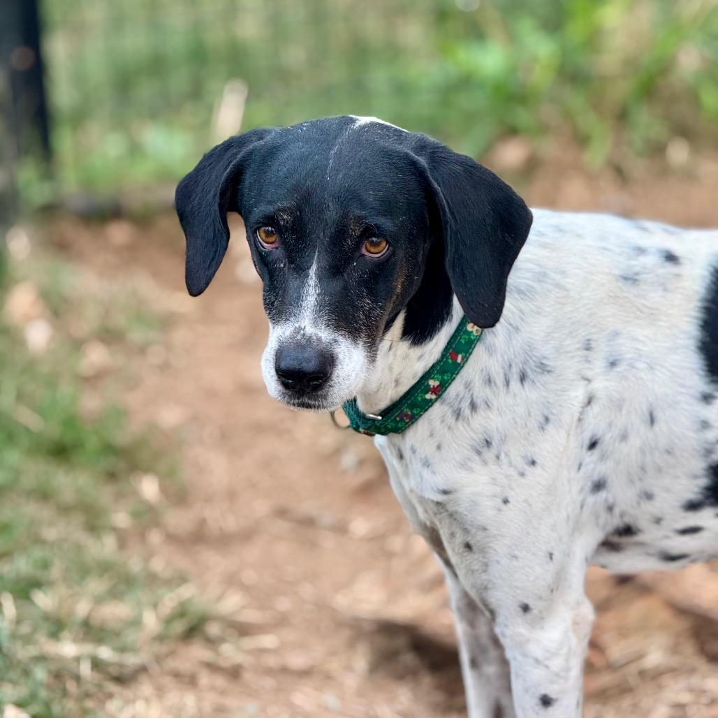 Gracie G thumbnail 2