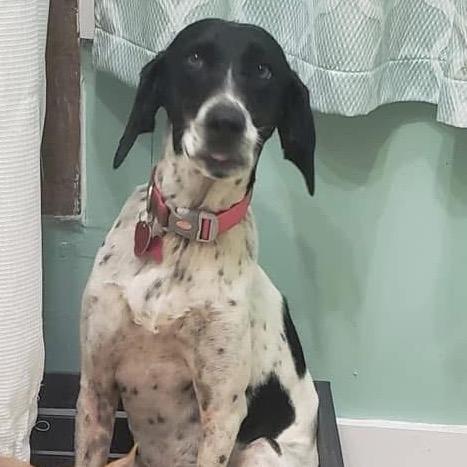 Gracie G thumbnail 3