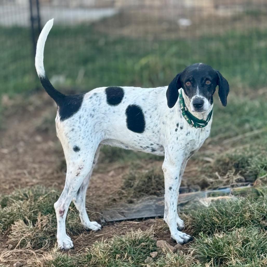 Gracie G thumbnail 4