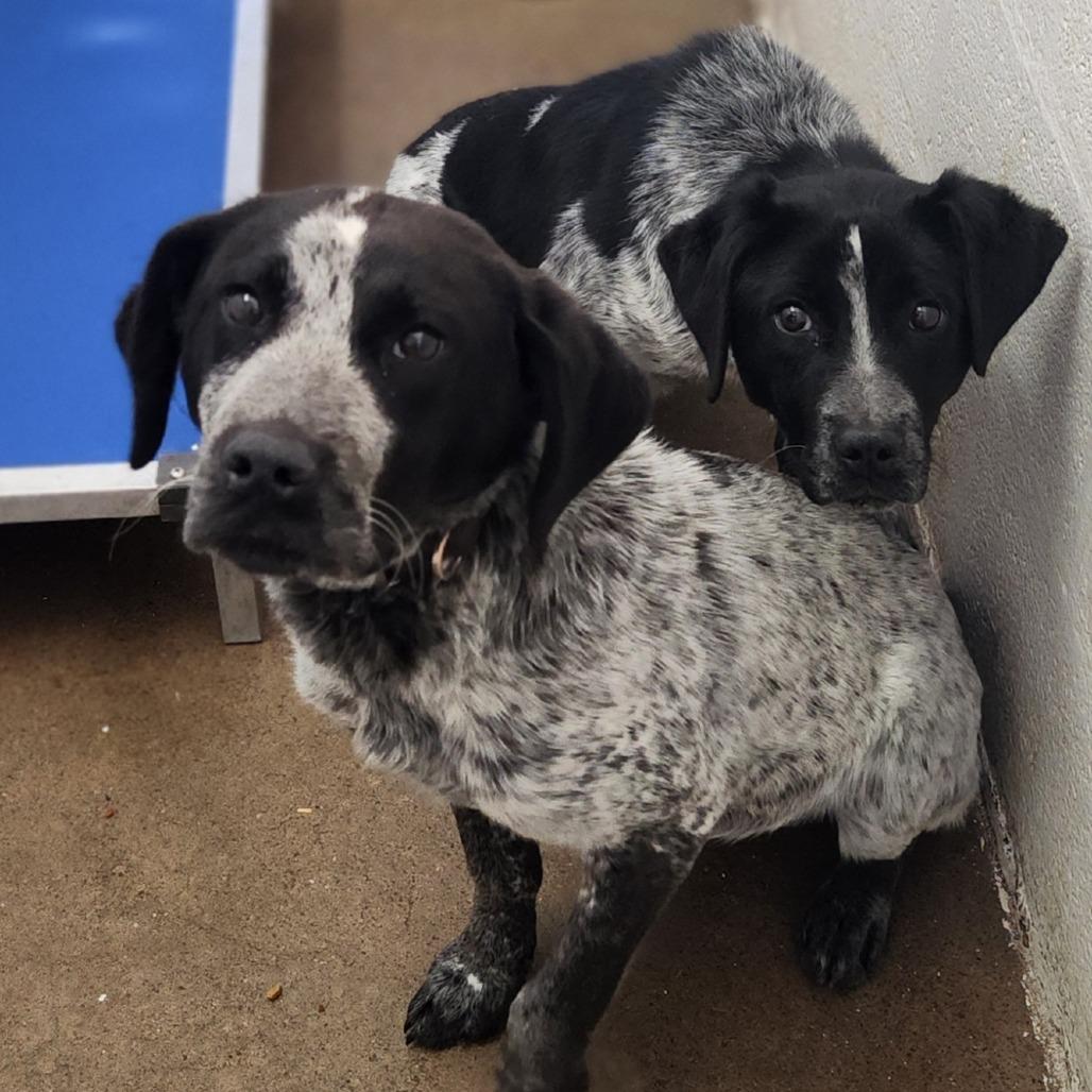 Zippy — thumbnail 2