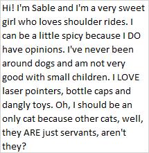 Enlarge Sable, a ADOPTABLE Domestic Short Hair in Libby, MT image 4/4