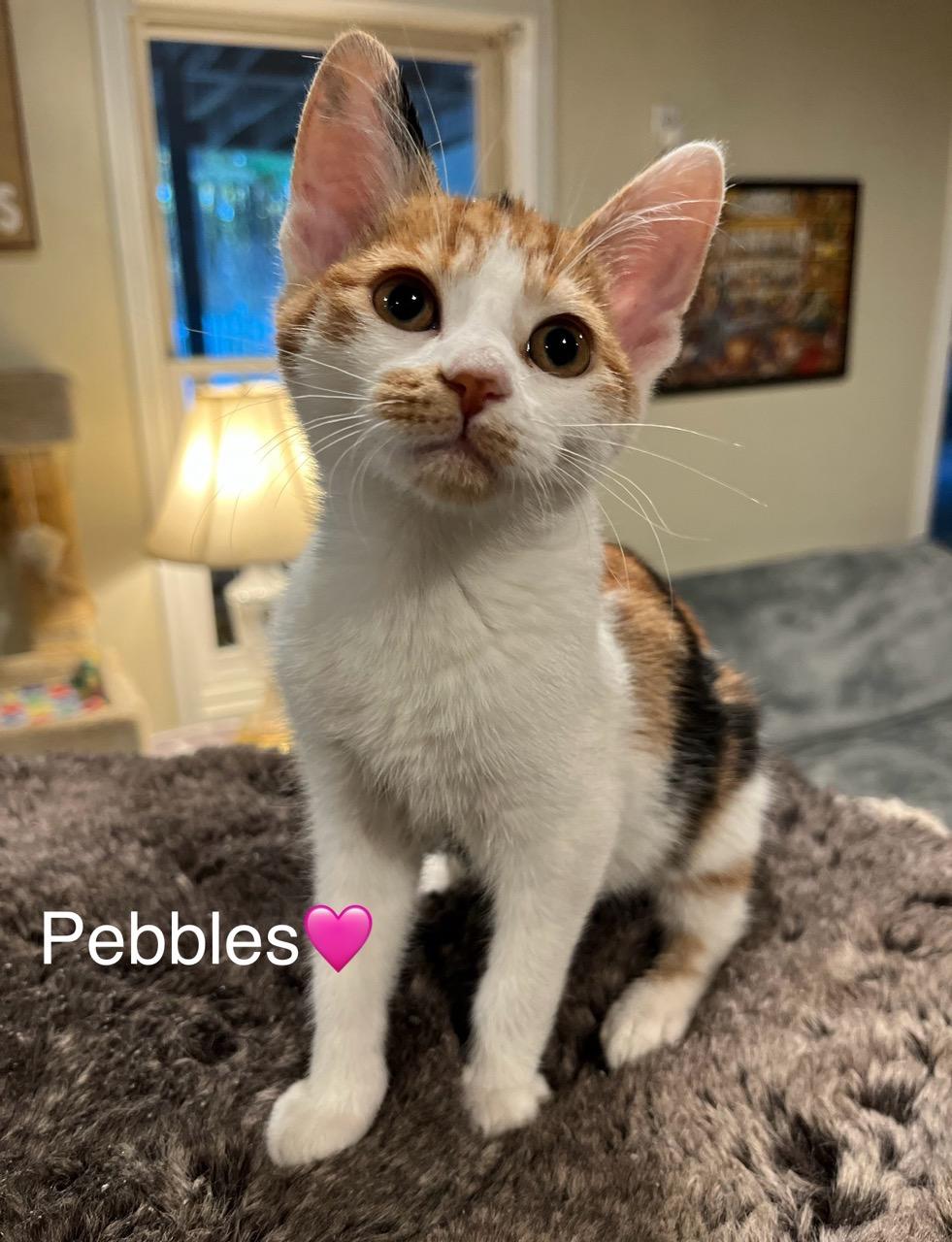 Pebbles