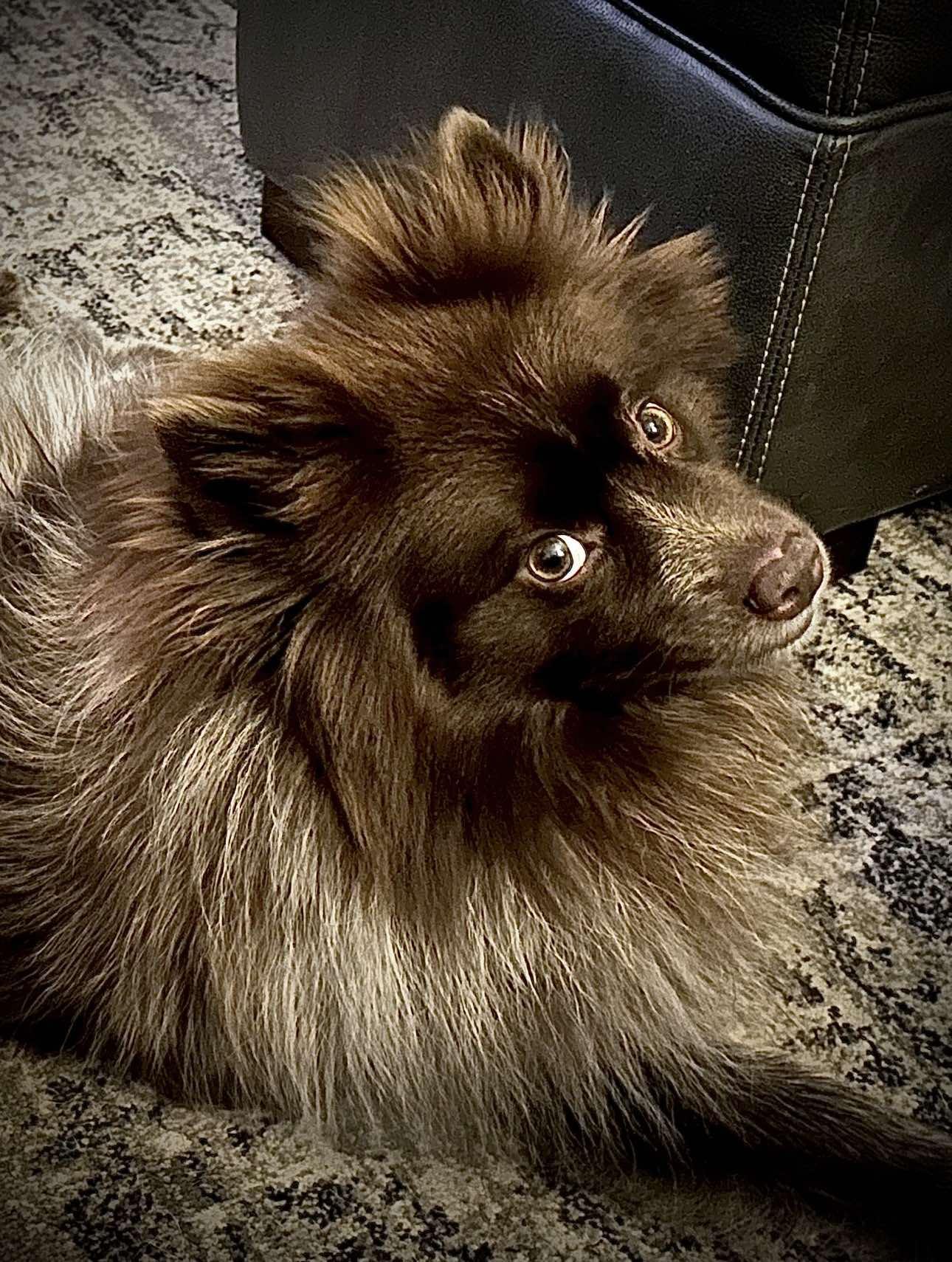 Benny