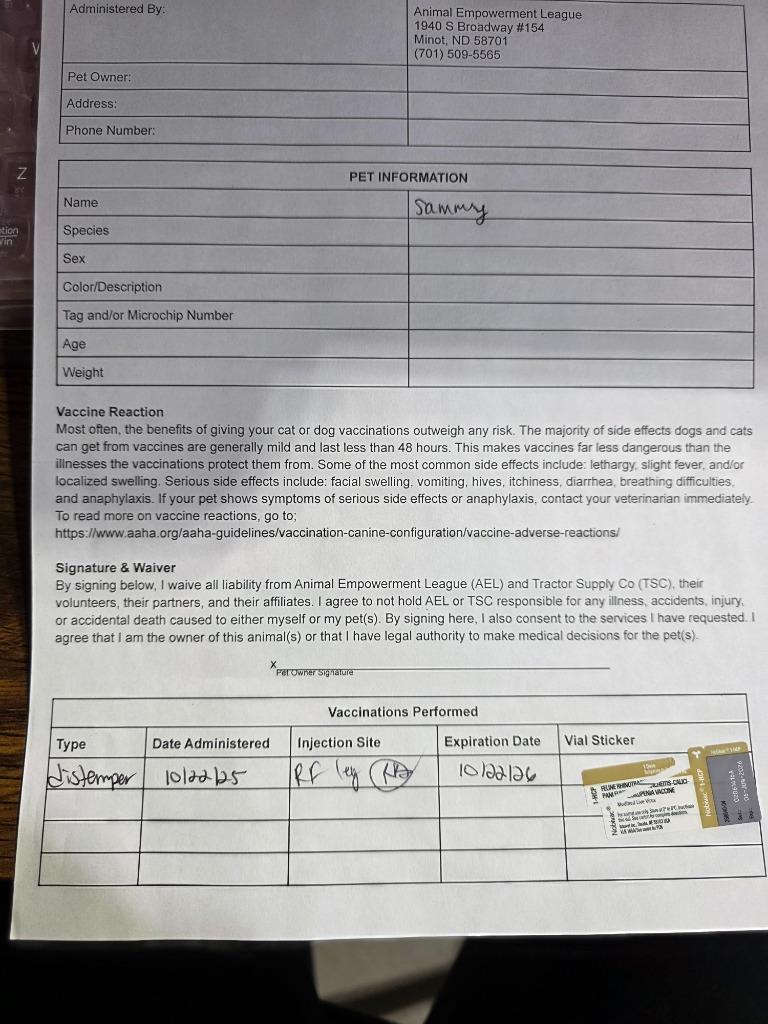 Enlarge Sammy, a Adoptable mixed breed in Minot, ND image 1/4