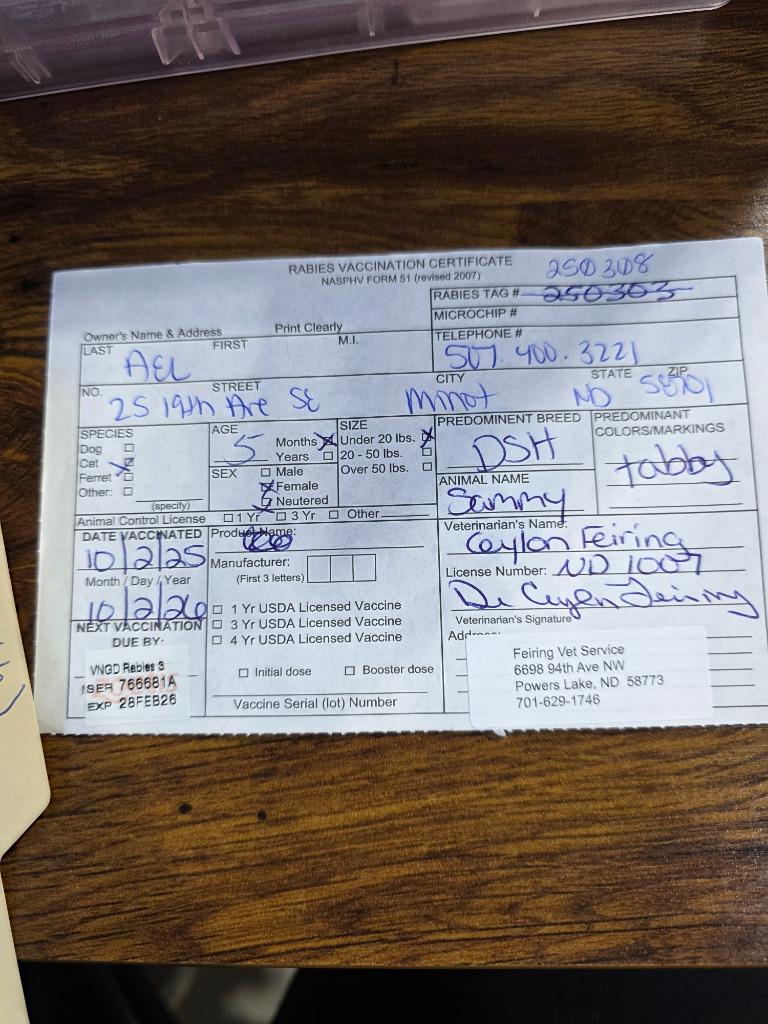 Enlarge Sammy, a Adoptable mixed breed in Minot, ND image 2/4