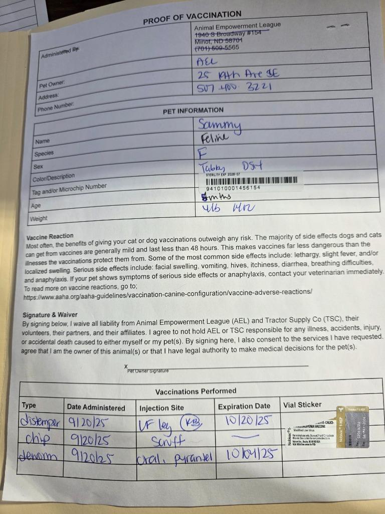 Enlarge Sammy, a Adoptable mixed breed in Minot, ND image 2/4