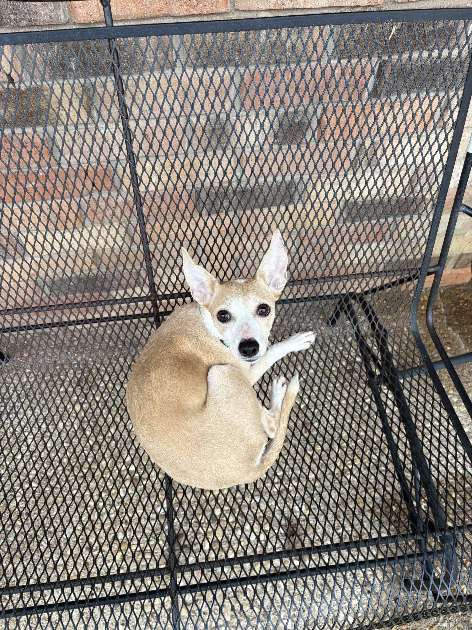 Catalina — thumbnail 3