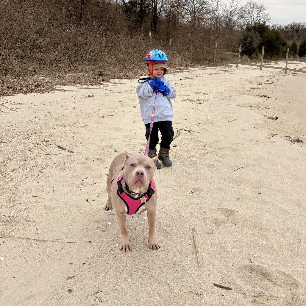 Pudding — thumbnail 5