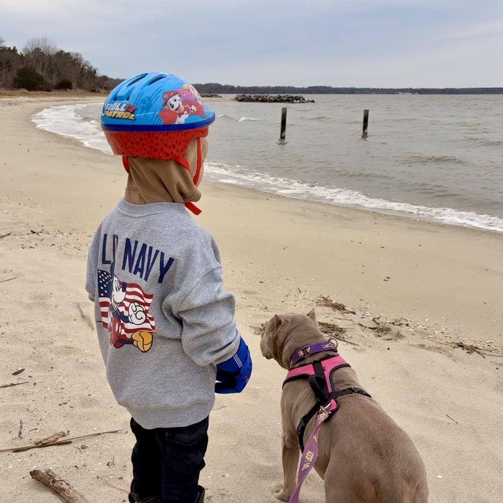 Pudding — thumbnail 6