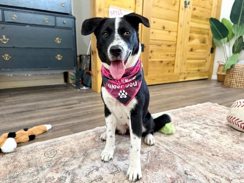 Flora Flowers Too Cute To Handle