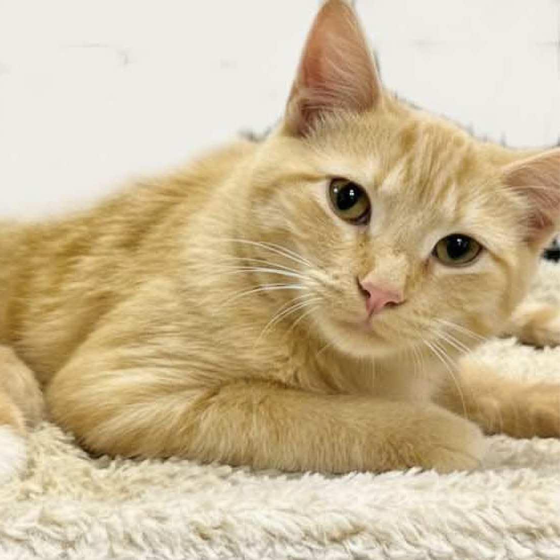 Murry and Marvin (Brothers)