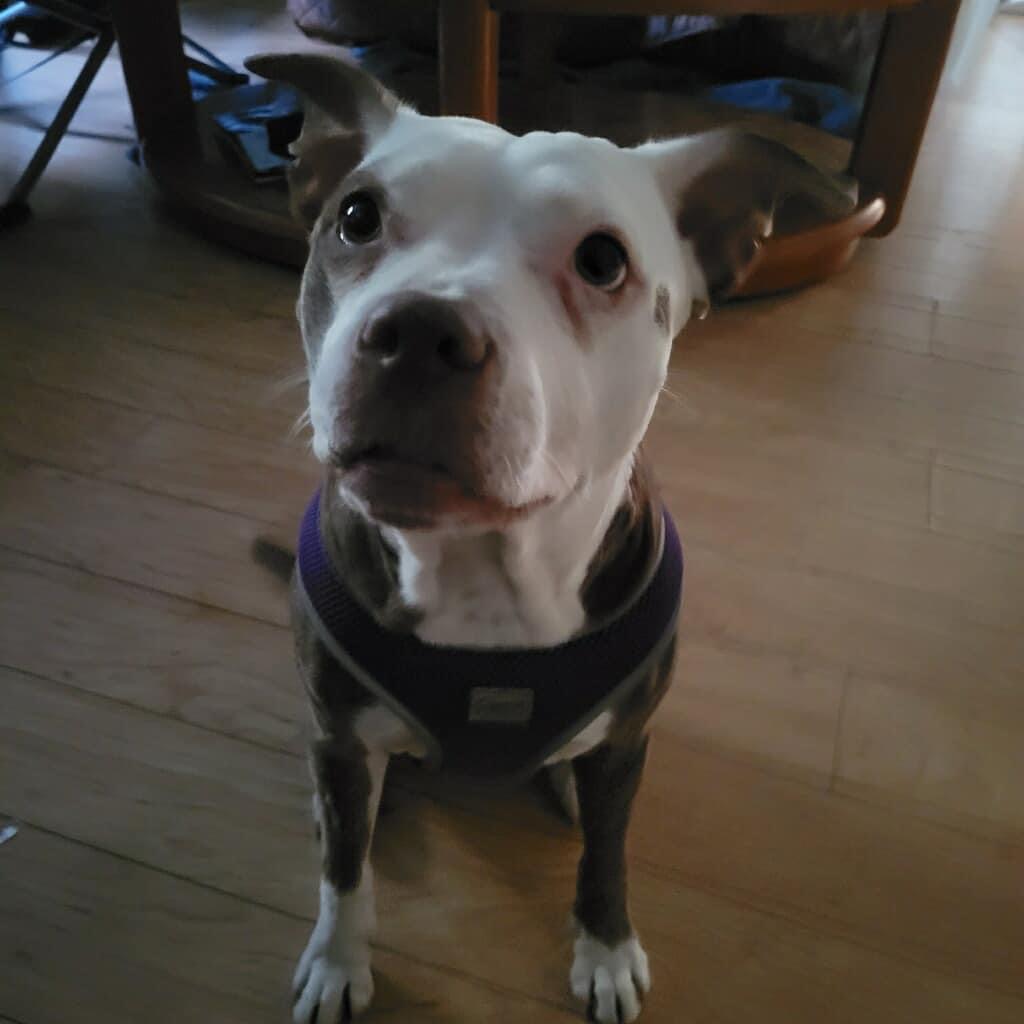 Ruby
