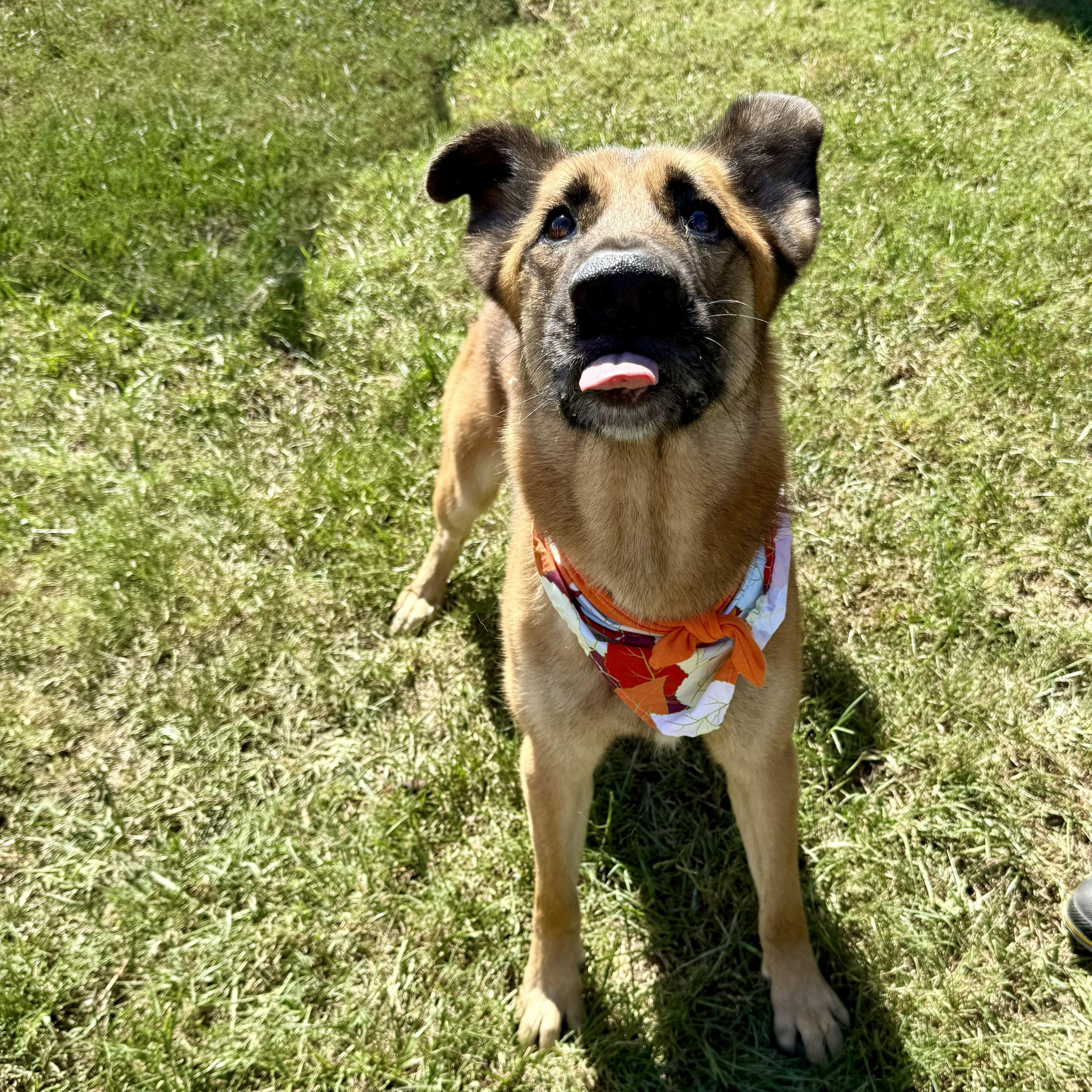 Puka — thumbnail 4