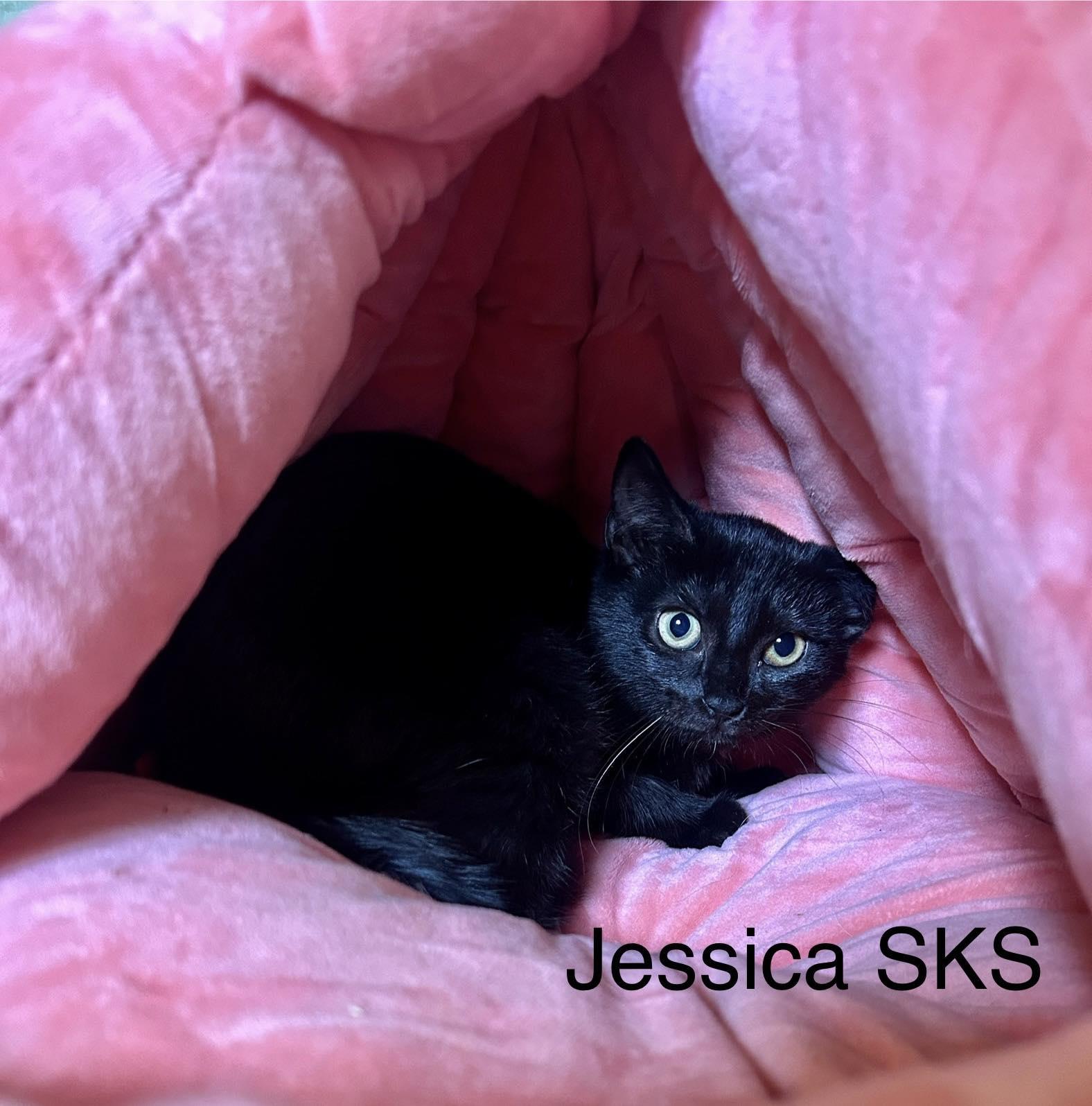 Jessica SKS