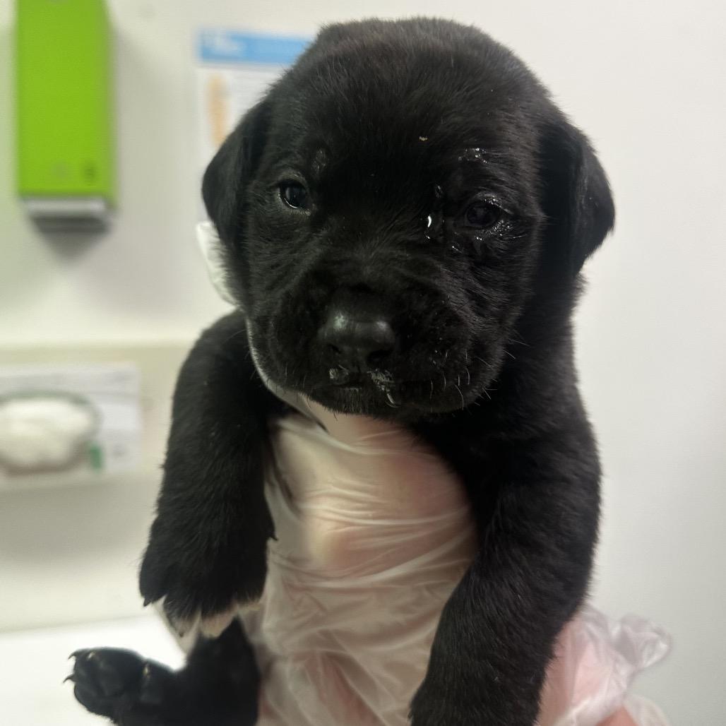 Dennis Whitaker — thumbnail 2