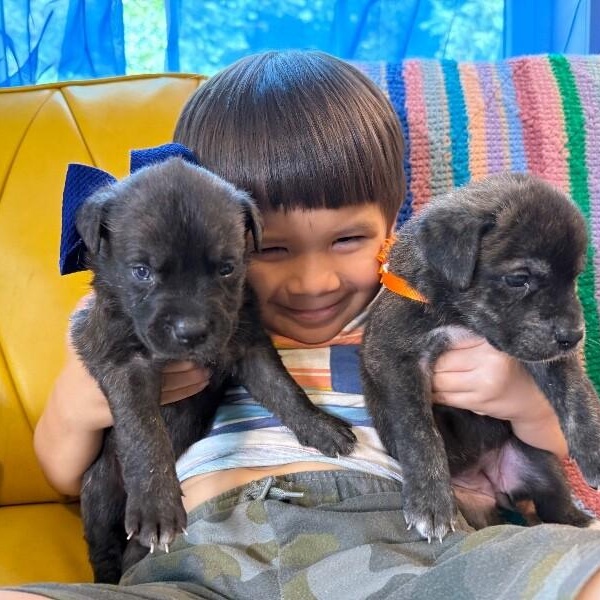 Baby Bear Kissy — thumbnail 5