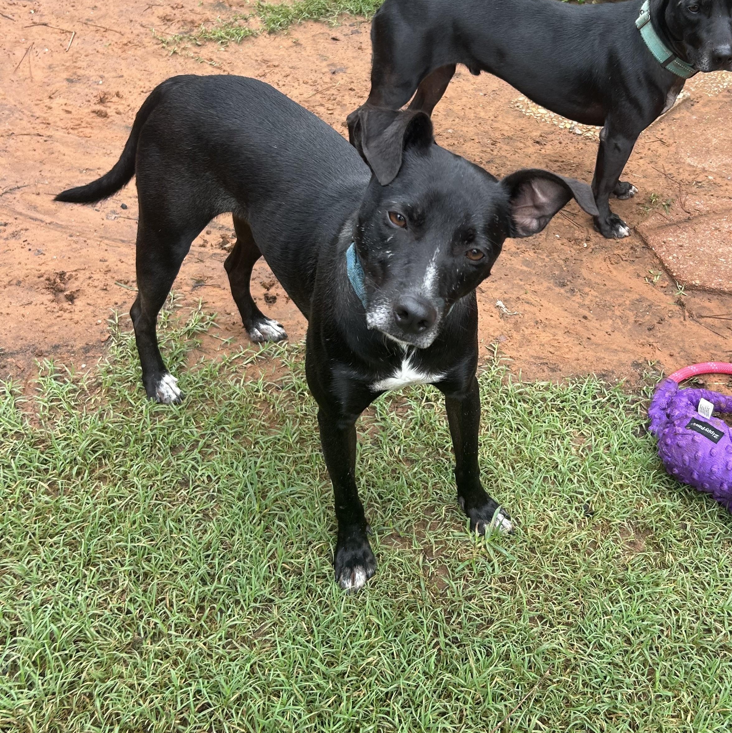 Emmett Everly — thumbnail 5