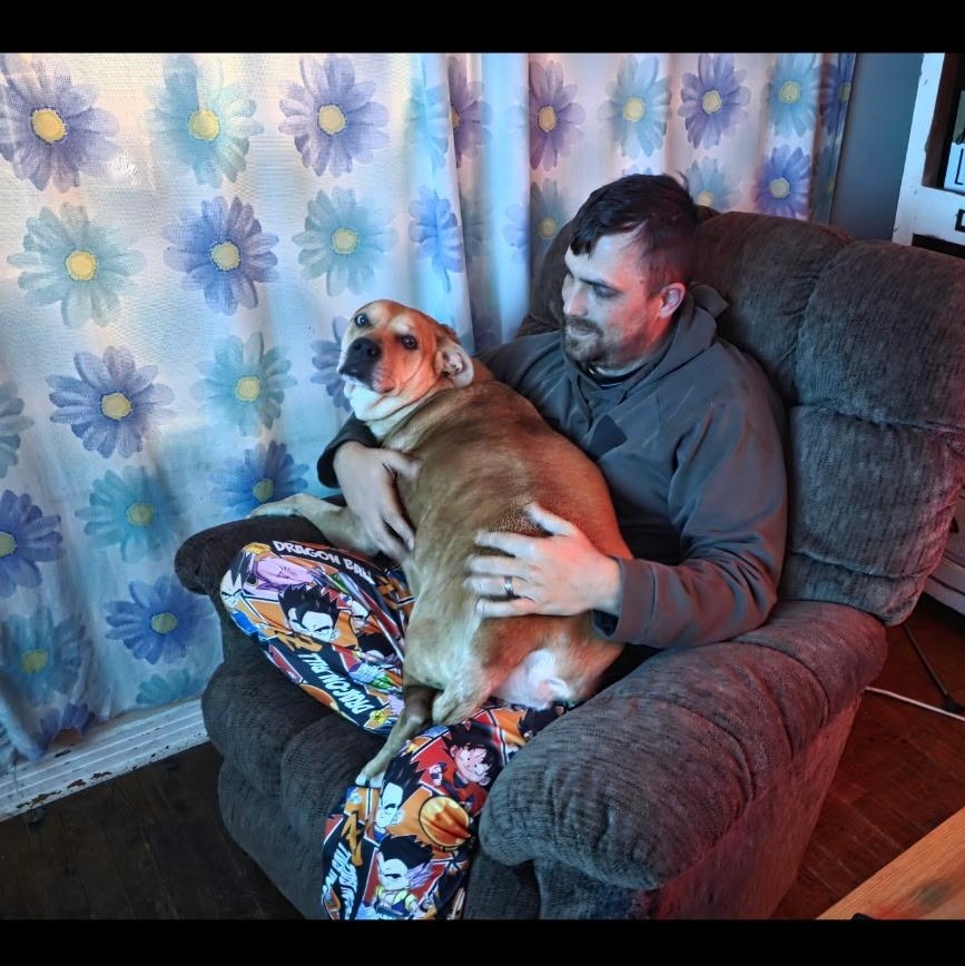 Holly (Sweet, Affectionate, Loyal, Playful) — thumbnail 5