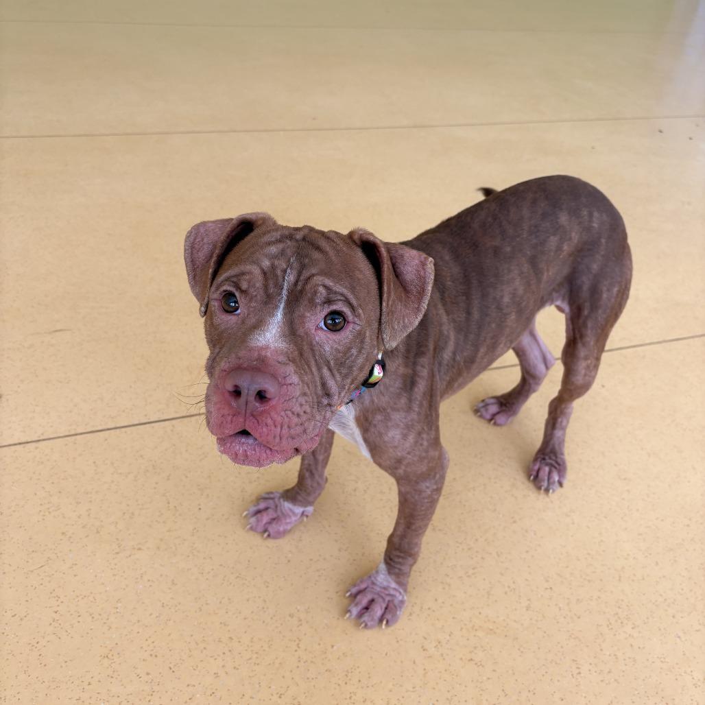 Buster — thumbnail 6