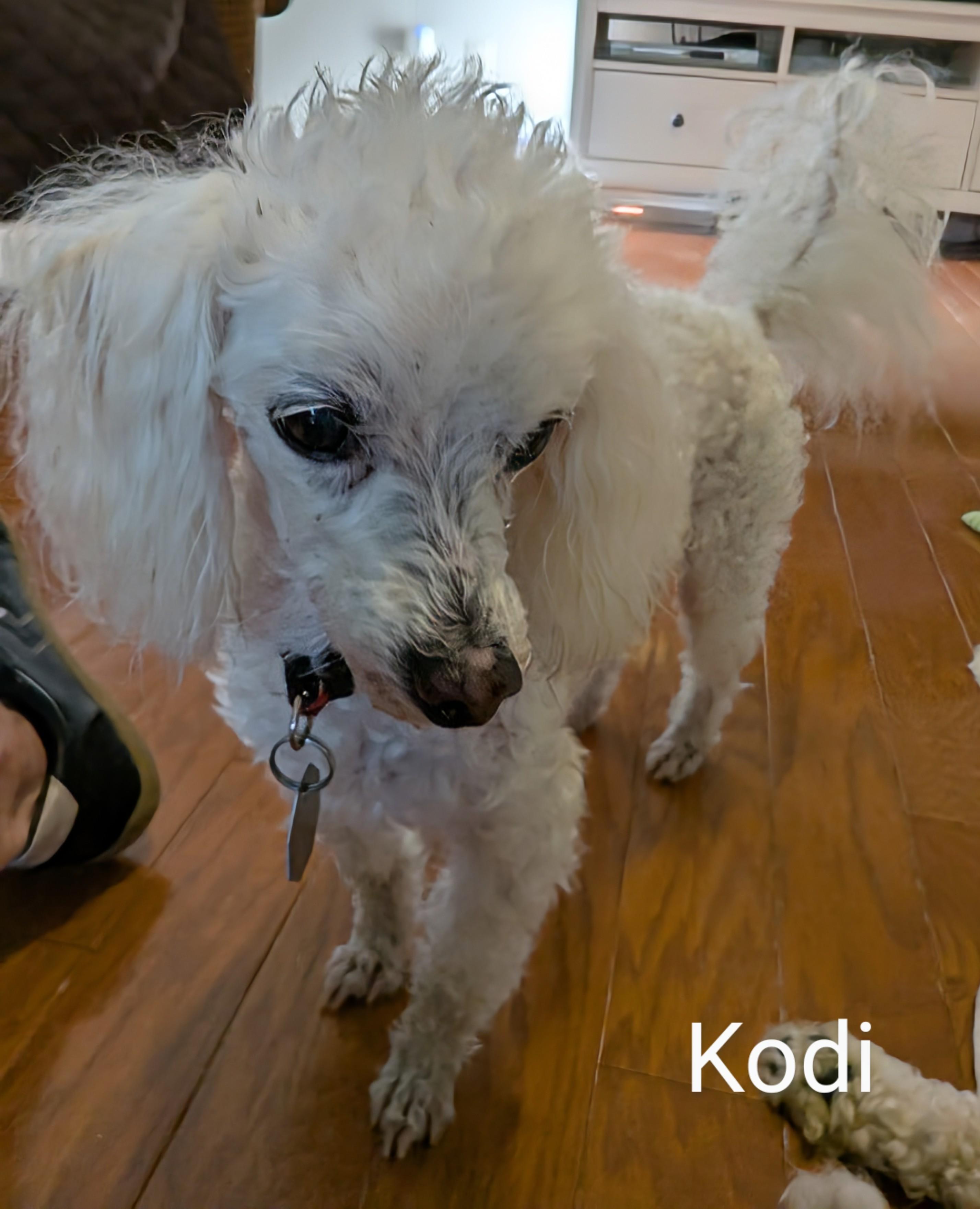 Kodi - 892 2