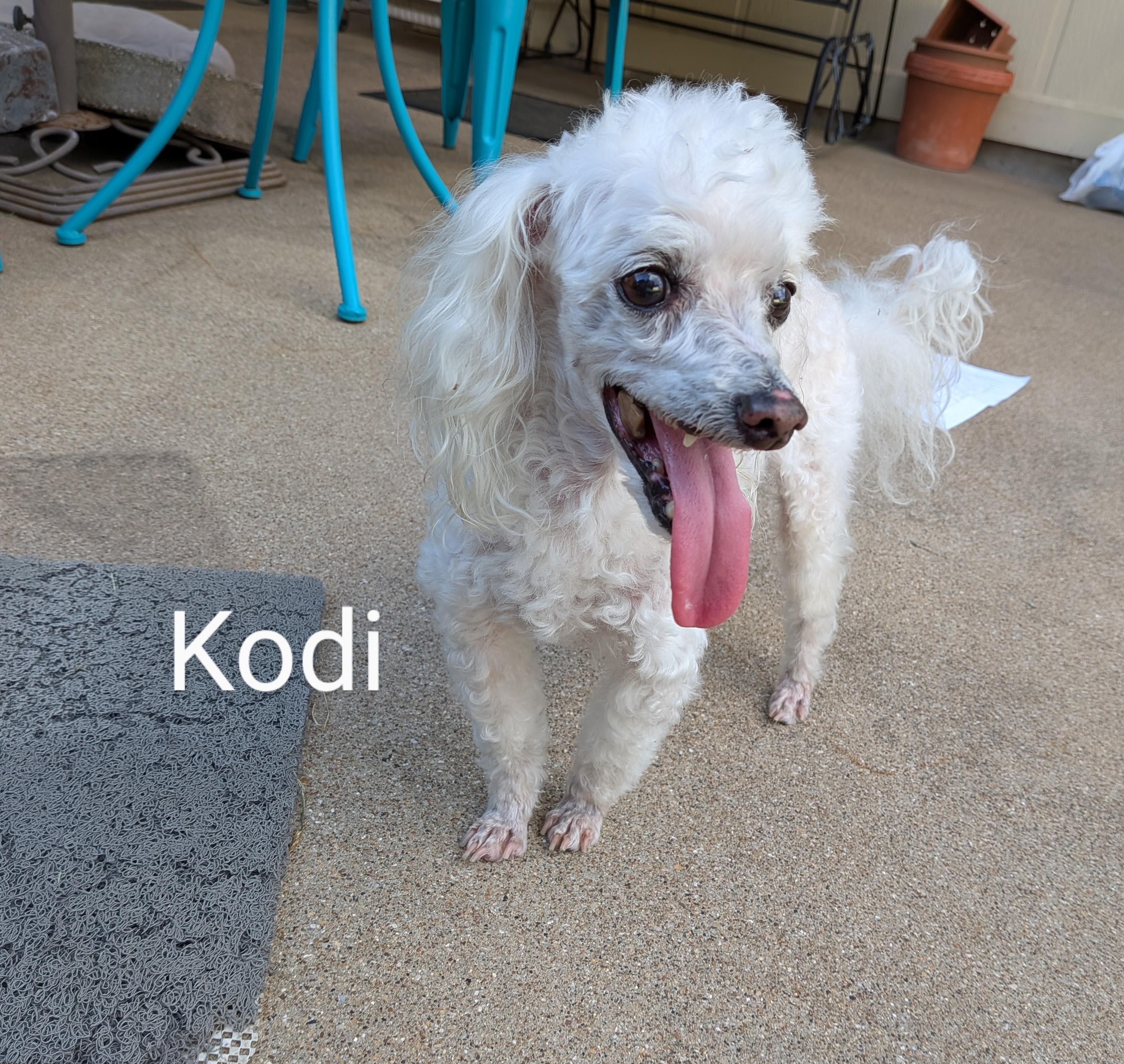 Kodi - 892 0