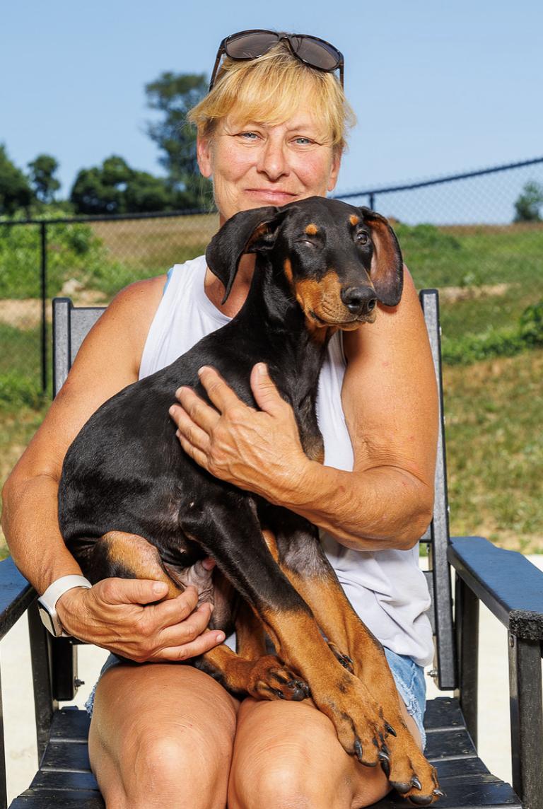 Enlarge Gillies aka, Louie, a Adoptable Doberman Pinscher in Chester Springs, PA image 3/3